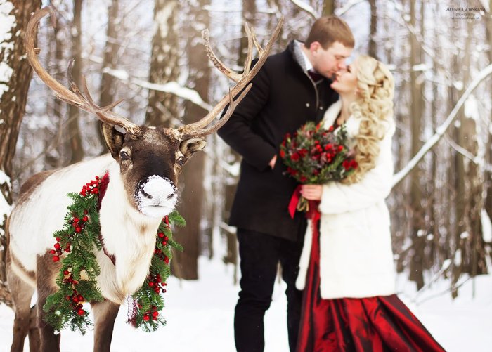 Свадебная фотосессия с оленями