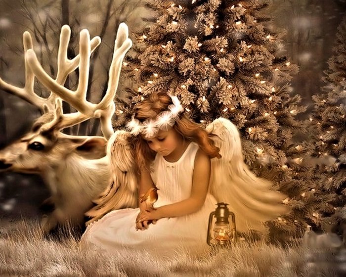 Новогоднее чудо девушка