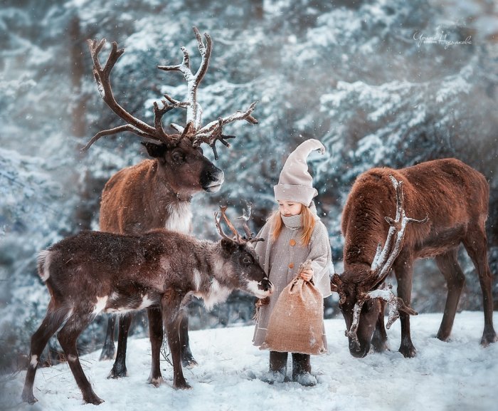 С Рождеством олени и дети