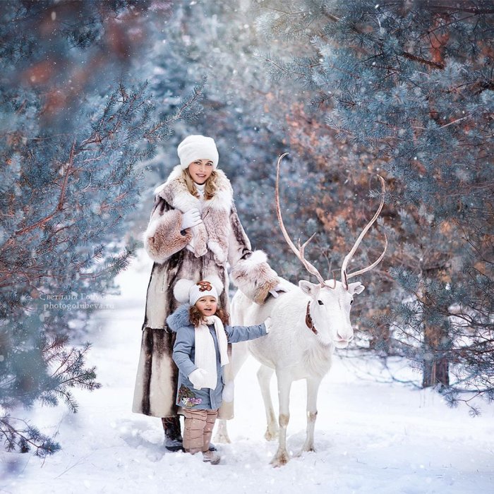 Зимняя фотосессия с оленем