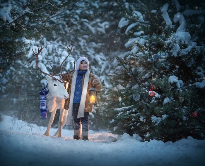 Фотосессия с дедом Морозом в лесу