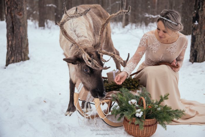 Фотосессия с оленем