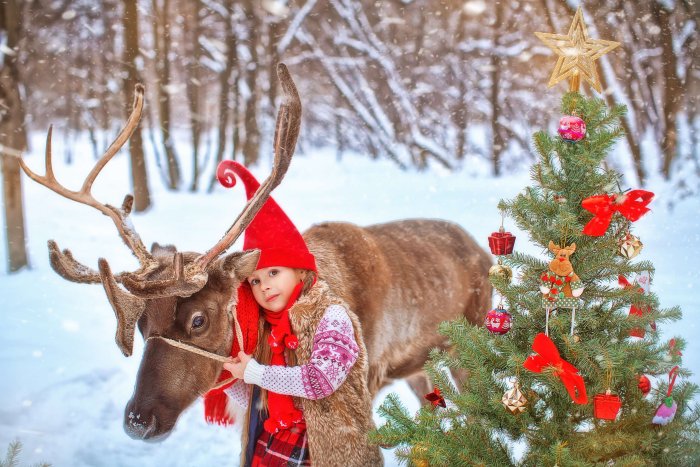 Елка настоящая с оленями настоящими