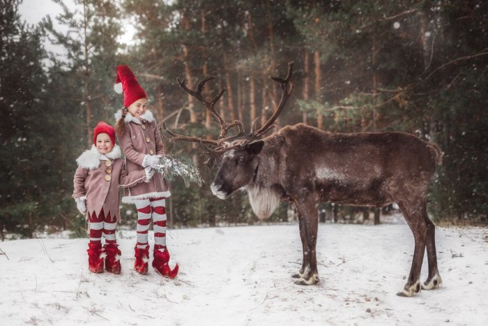 Джемпер Фэмили лук новогодний Фэмили