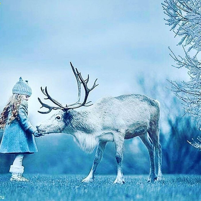 Фотосессия с оленем зимой