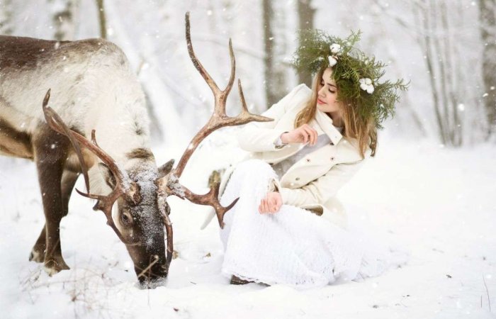 Фотосъемка с оленями