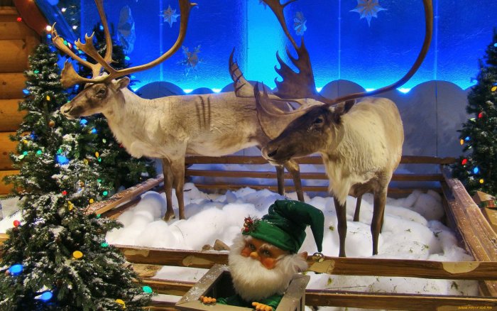 Олень Рождество