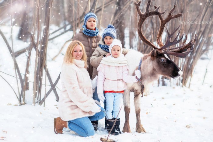 Семейная фотосессия с оленями