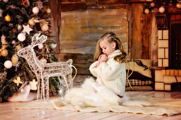 Новогодний фотопроект