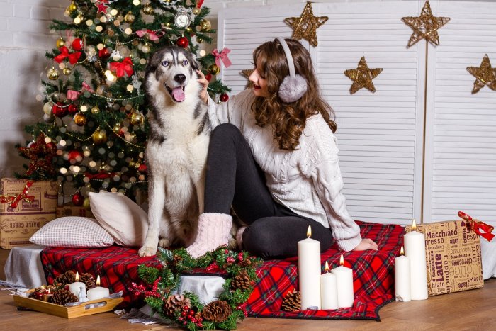 Новогодняя фотосессия красное каре