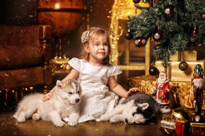 Новогодняя фотосессия семейная все включено