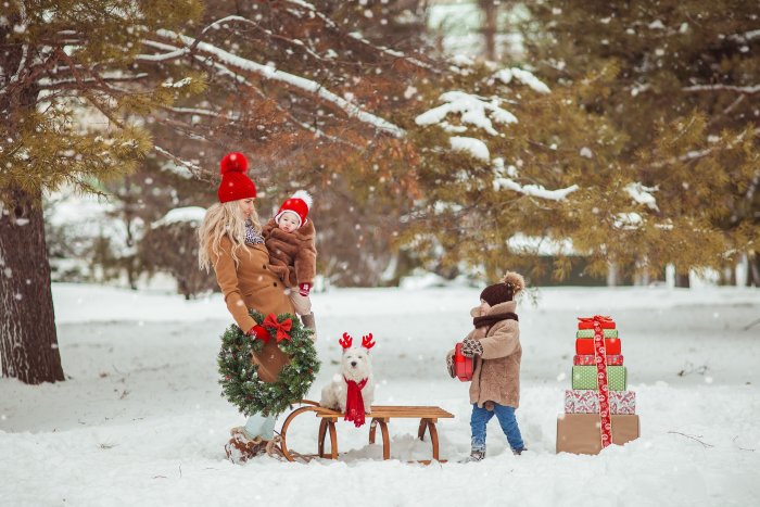 Новогодняя фотосессия в лесу
