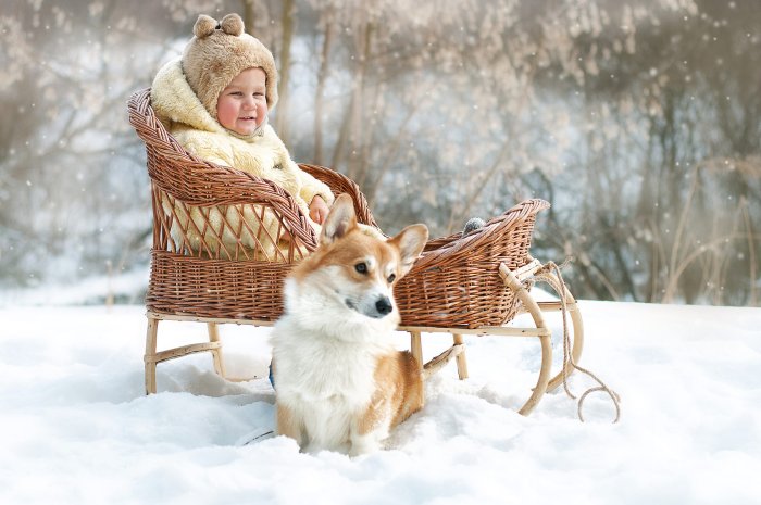 Дети в санках фотопроект