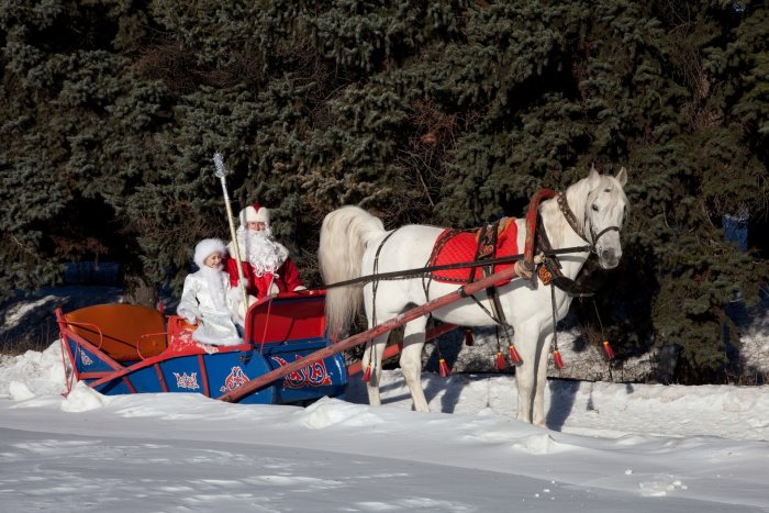 Упряжка Деда Мороза