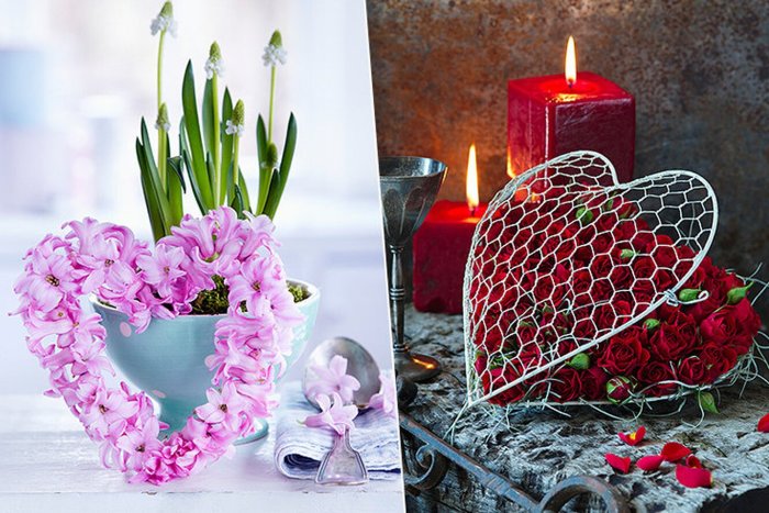 Композиции на 14 февраля