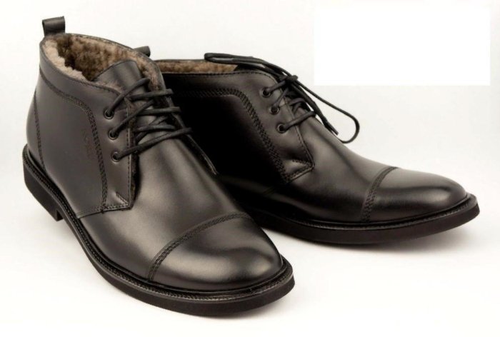 Ботинки мужские Aspen 460201chnr