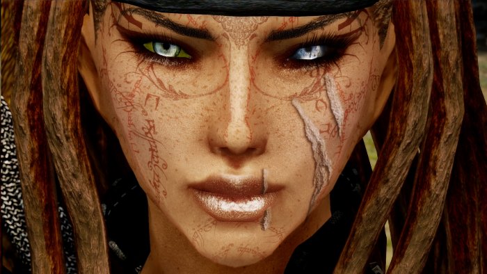 Скайрим мод дреды