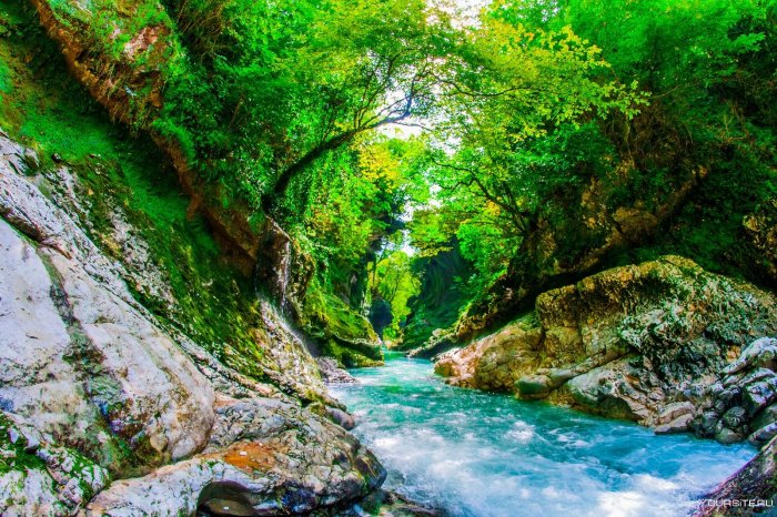 Мартвильский каньон Грузия