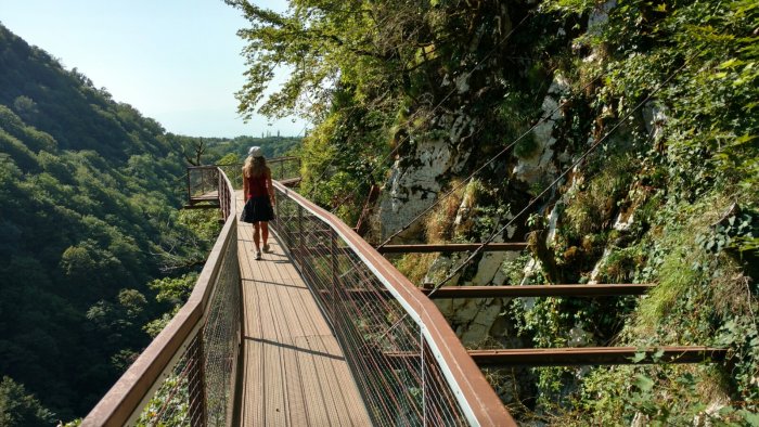 Каньон Акация Грузия