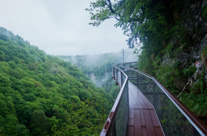 Мартвильский каньон Грузия