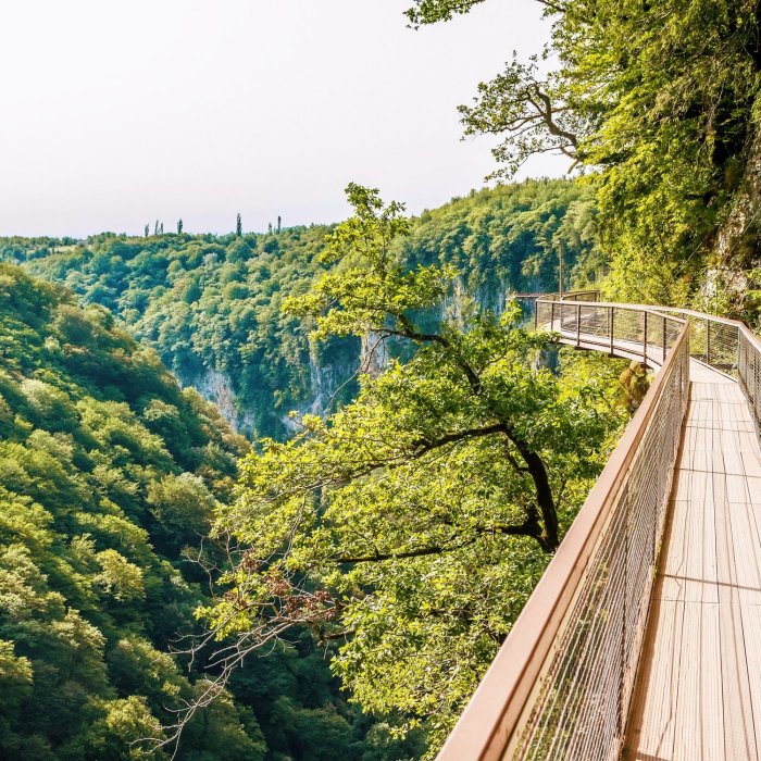 Грузия ущелье Окаце